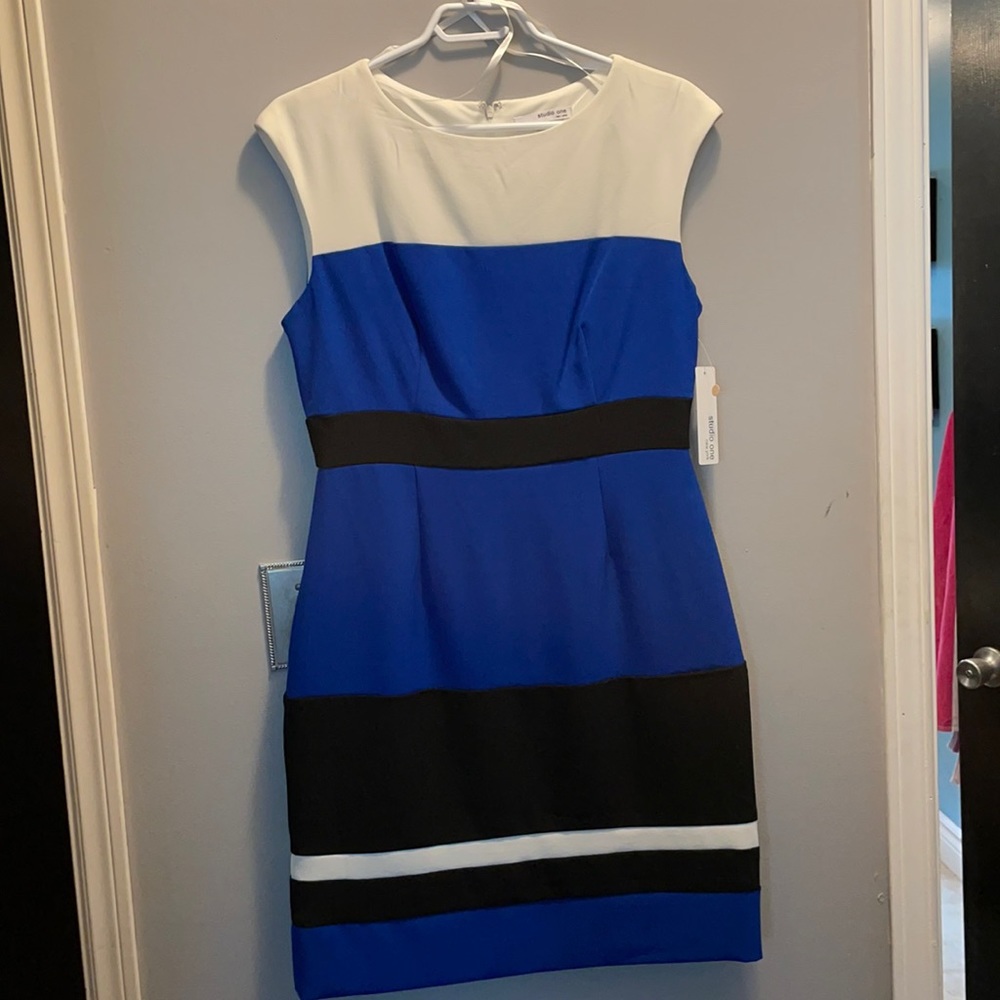 Sleeveless tailored Colour Block Dress